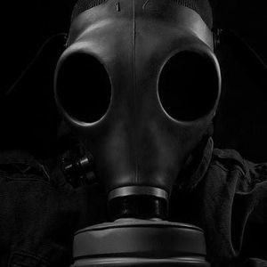 Meet your Posher, Vince